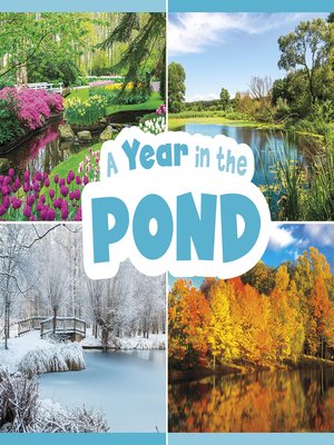 cover image of A Year in the Pond